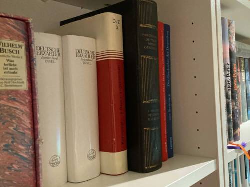 Verschiedene Bücher stehen in einem Bücherregal.